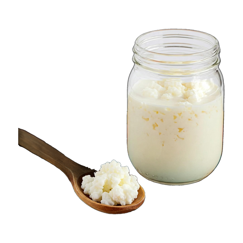 Bibigrow Fermented Milk