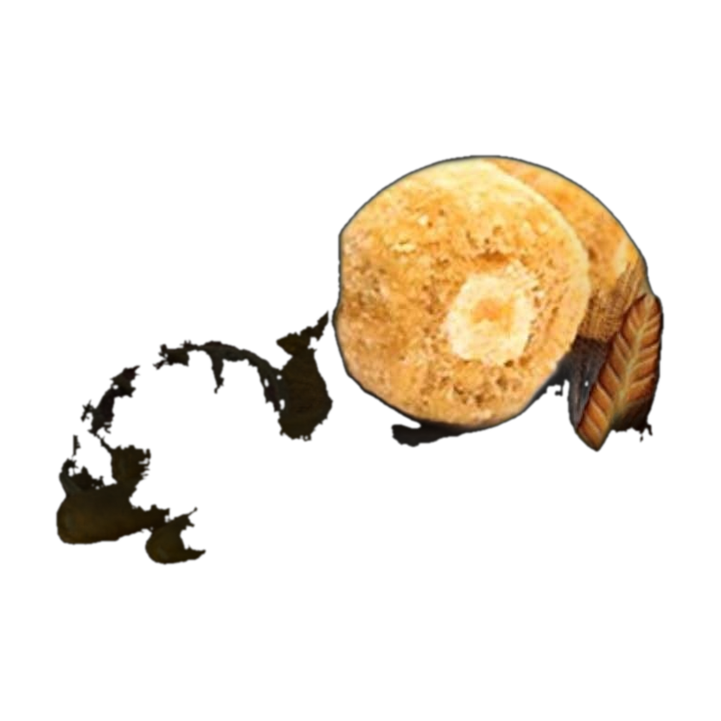 23 Grain Crispy Roll Cheese 835g