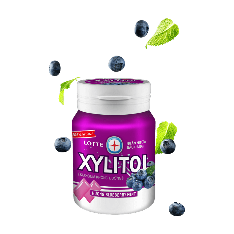 Lotte Xylitol Blueberry Mint